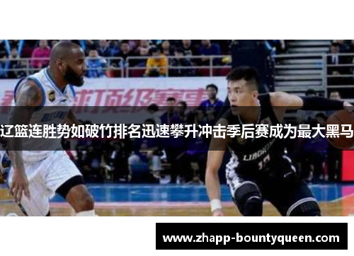 辽篮连胜势如破竹排名迅速攀升冲击季后赛成为最大黑马