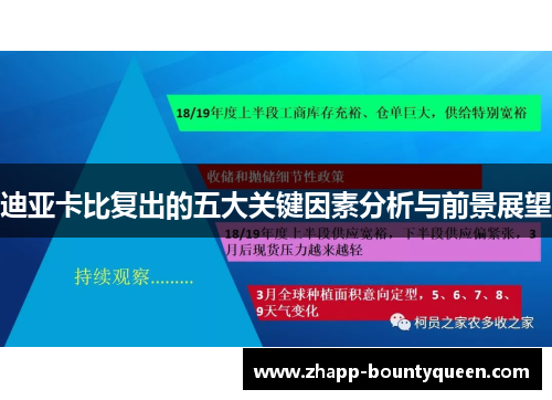 迪亚卡比复出的五大关键因素分析与前景展望