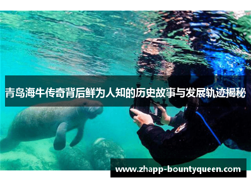 青岛海牛传奇背后鲜为人知的历史故事与发展轨迹揭秘
