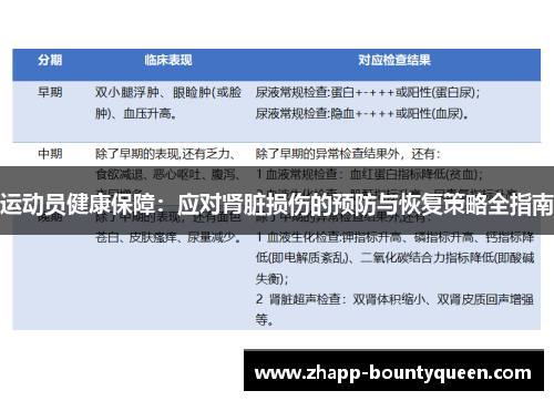 运动员健康保障:应对肾脏损伤的预防与恢复策略全指南 运动员健康保障:应对肾脏损伤的预防与恢复策略全指南