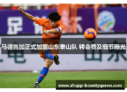 马德鲁加正式加盟山东泰山队 转会费及细节曝光